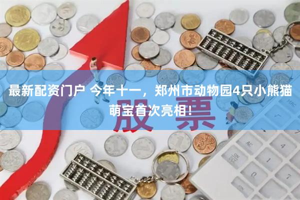 最新配资门户 今年十一，郑州市动物园4只小熊猫萌宝首次亮相！